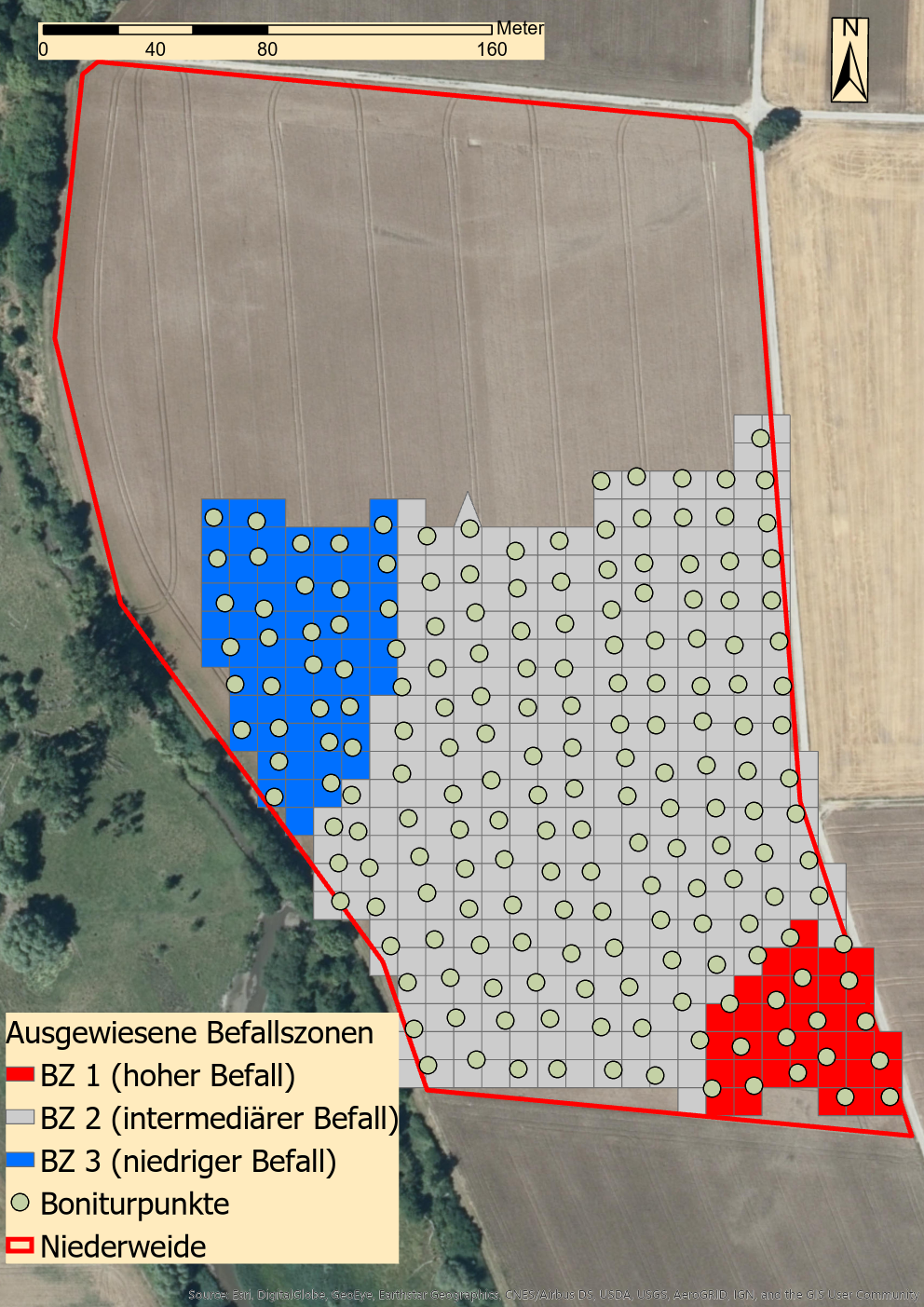 Niederweide Befallszonen