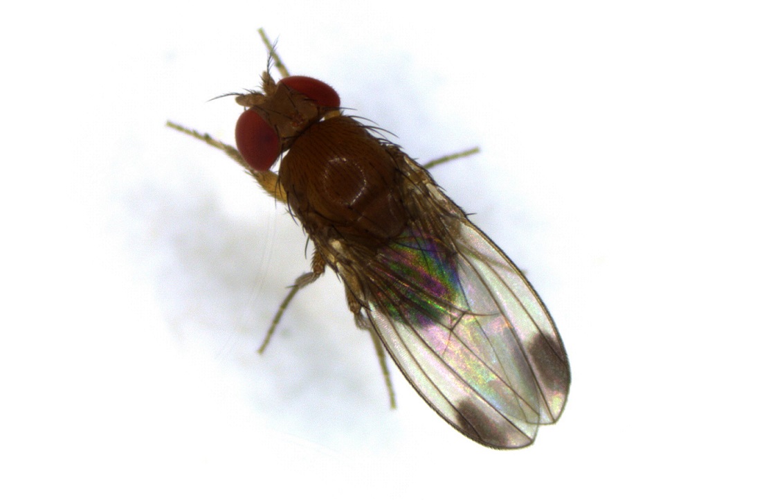 Aufnahme 114851 0037