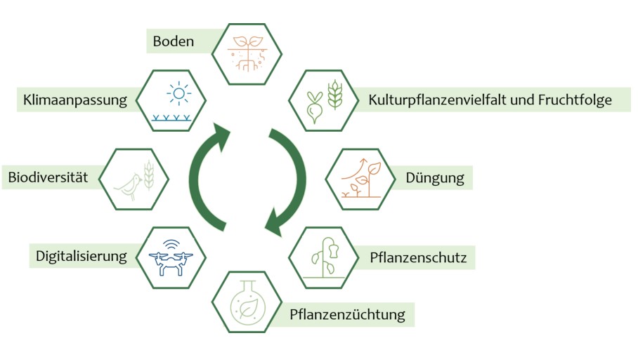 Abb1 Handlungsfelder