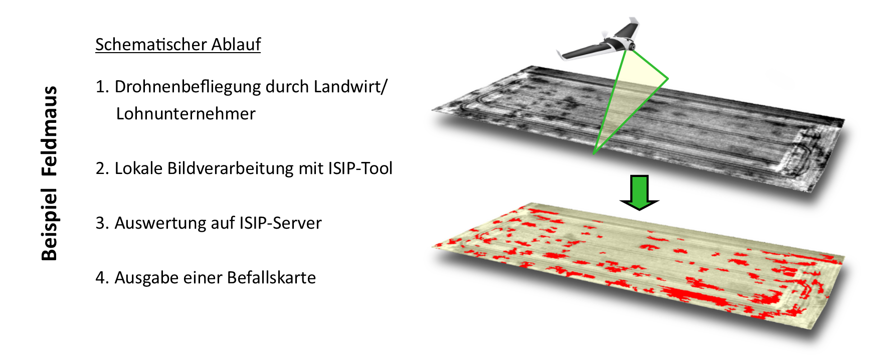 schematische grafik wp